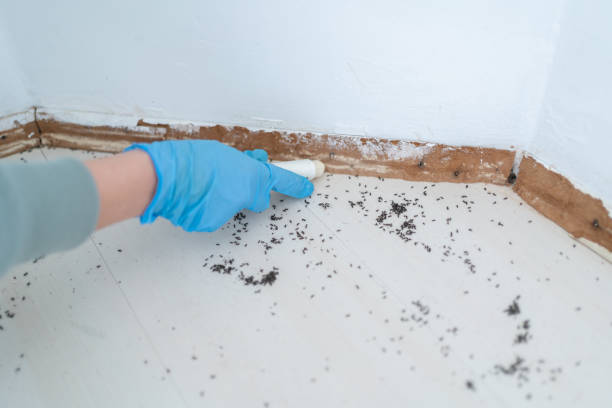 Best Wildlife Control Services  in Falfurrias, TX